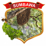 sumbawa